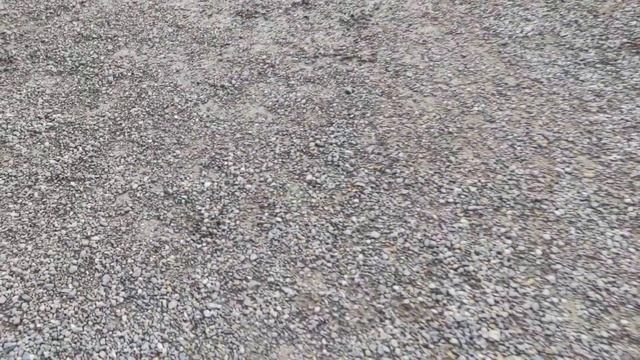 Neumond Park New Moon February Februar 2022 Park Schloss Schönbrunn Palace Gloriette Neptunbrunnen смотреть онлайн