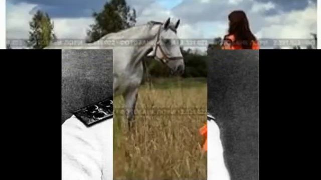 Дочка генерала.Untitled_720x576Liliy52.wmv смотреть онлайн
