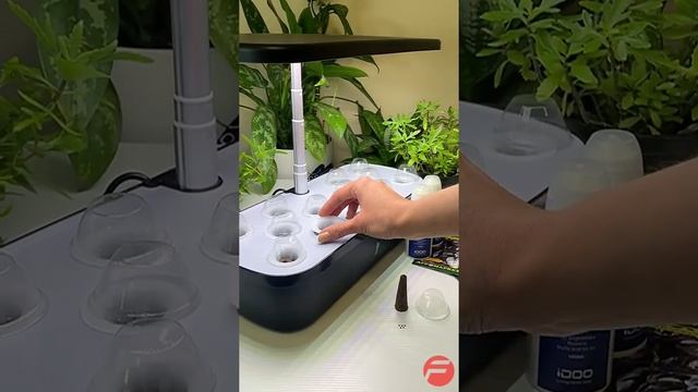 Гидропоника - система умный сад