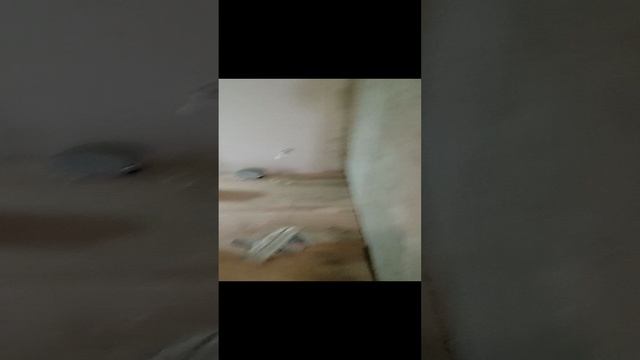 VID_20220324_090257.mp4