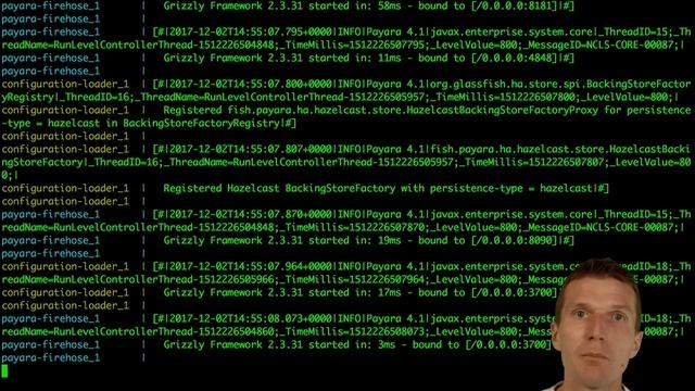 Monitoring Java EE Servers with Prometheus and Payara смотреть онлайн