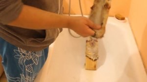 Выделка шкур Ондатры. Часть 3 (Мездрение)