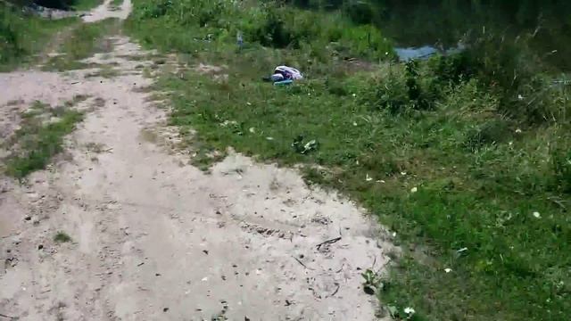 Много бабочек в одном месте, чудо !!