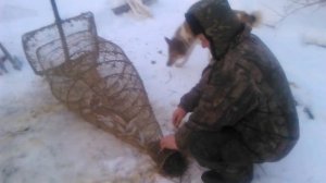 Рыбалка(заездок,запор)старый дедовский способ))))