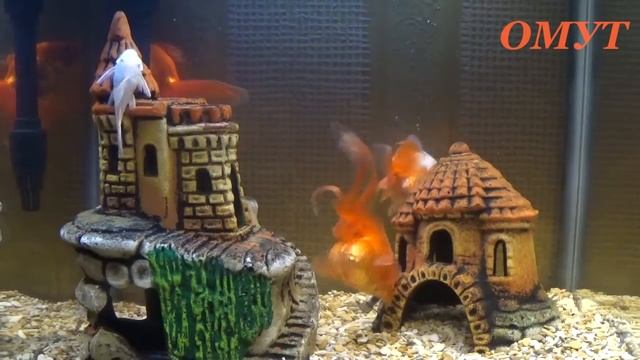 84. УБИРАЕМ КОСТОЧКИ --- И ВАШИ КОММЕНТЫ - ДРУЗЬЯ!!! смотреть онлайн