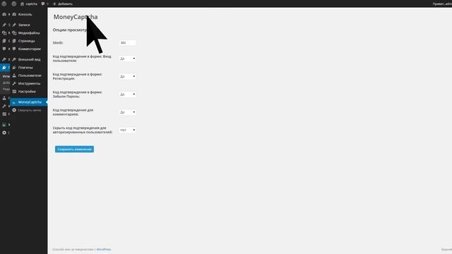 Установка капчи MoneyCaptcha для CMS WordPress смотреть онлайн