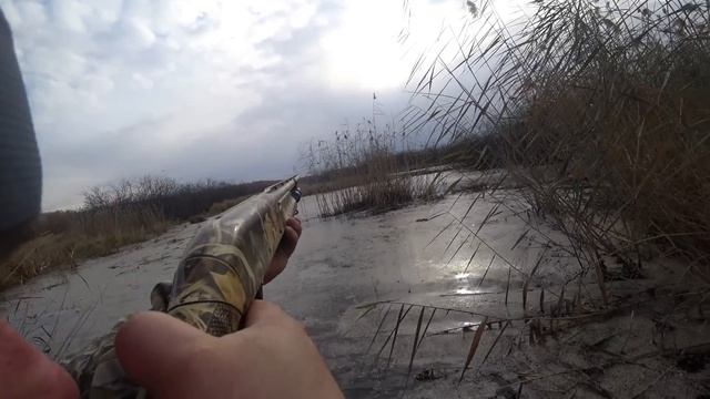 Лучшая охота на крякву с подхода 2022г. смотреть онлайн