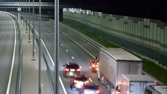 В Тверской области медвежонок выскочил на трассу М-11 и собрал пробку. смотреть онлайн