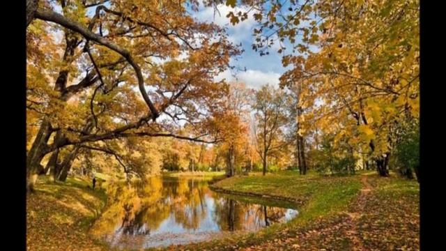 Березы Николай Рубцов. смотреть онлайн