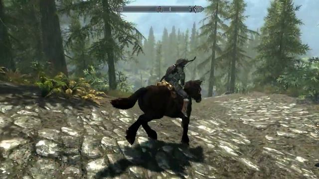 Обзор - The elder scrolls V : Skyrim (Special Edition) смотреть онлайн