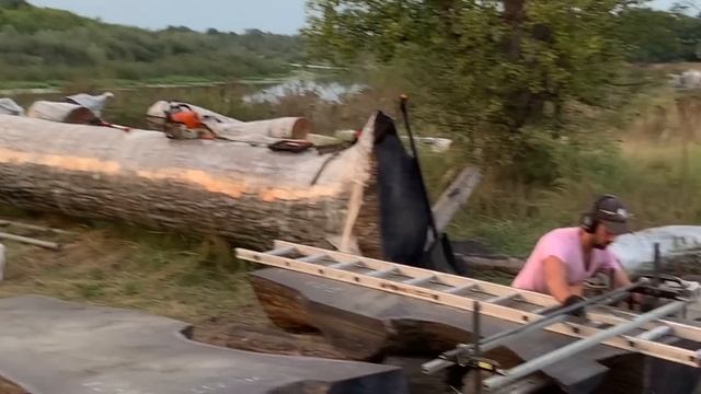 You have never seen such a Bog Oak! How did we manage to cut it with a chainsaw ?! смотреть онлайн