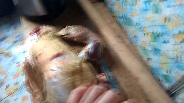 Утки Чери Вели и стар 53 слабые лапы смотреть онлайн