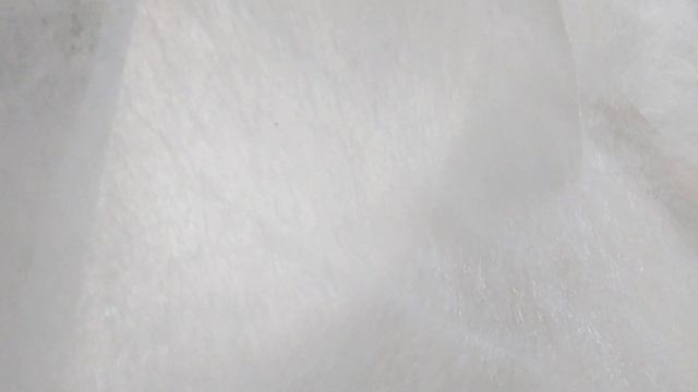 Агроволокно 17г/м2 