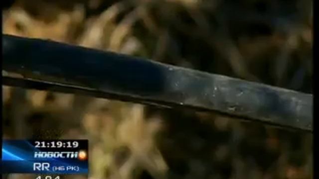 Аграрии обещают возродить Алматинский апорт смотреть онлайн