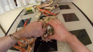 КАК ЕСТЬ КРАБА ПРАВИЛЬНО! краб камчатский с рисом TravelTrip