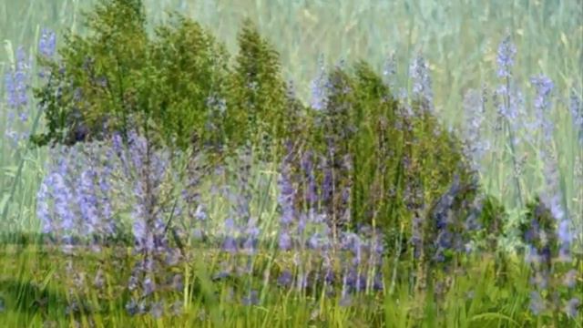 D.J. Novikov - "Спасибо Калачинск" (remix) смотреть онлайн