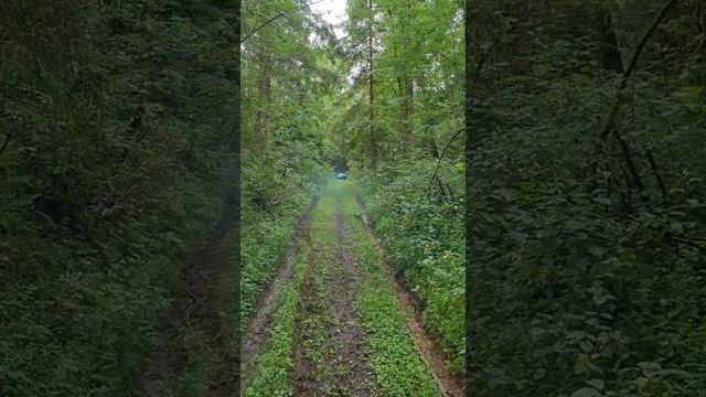 Покатушки мотоцыкл УРАЛ / ПЛАНЕТА 3 смотреть онлайн