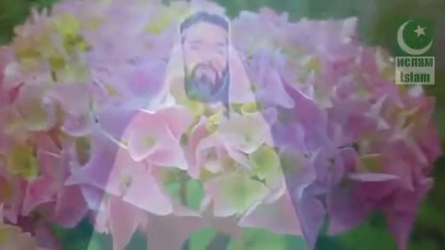 Суд в могиле смотреть онлайн