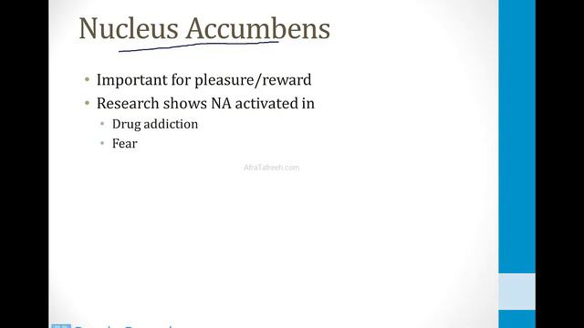 Neurology - 1. Introduction To Neurology - 4.Neurotransmitters Atf