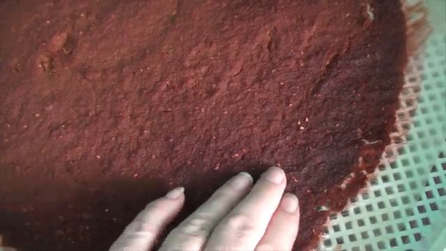 Исторические Открытия