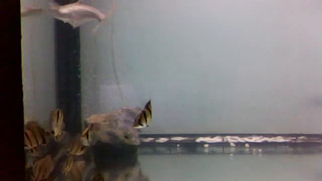 Monitor 2013 09 12 23 07 42 392 смотреть онлайн