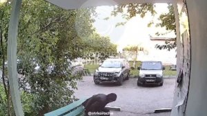 Упал с окна, встал и пошёл