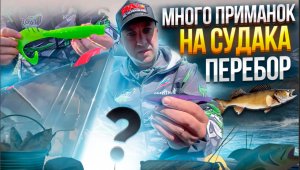 Много приманок на судака перебор?