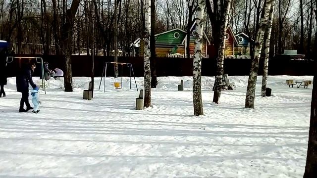 Интересная прогулка в парке! Упрямый олень, верблюд, чудной паровоз смотреть онлайн