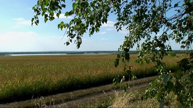 Ennio Morricone Once Upon A Time in The West