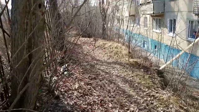 Снорк? смотреть онлайн