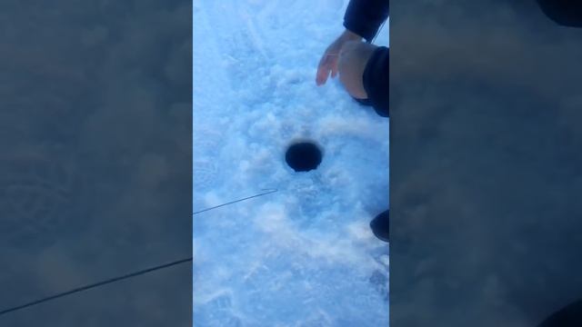 23.12.2017 озеро Кокай щука. смотреть онлайн