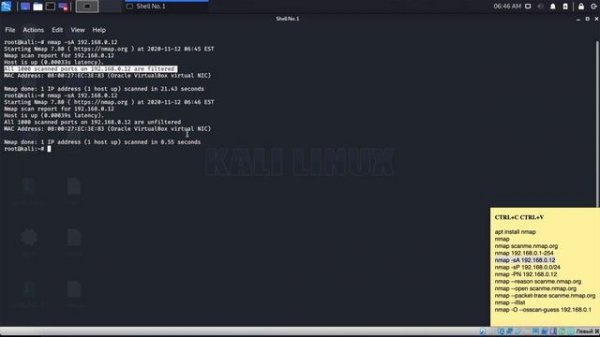 Nmap в Kali Linux. Как пользоваться? Tutorial по поиску уязвимостей