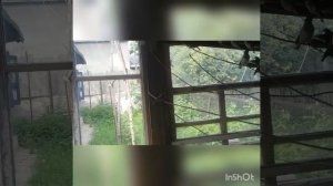 Вольер для птиц. Вольер своими руками.