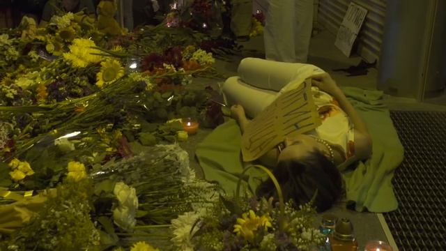 Посольство Королевства Нидерландов в Киеве смотреть онлайн