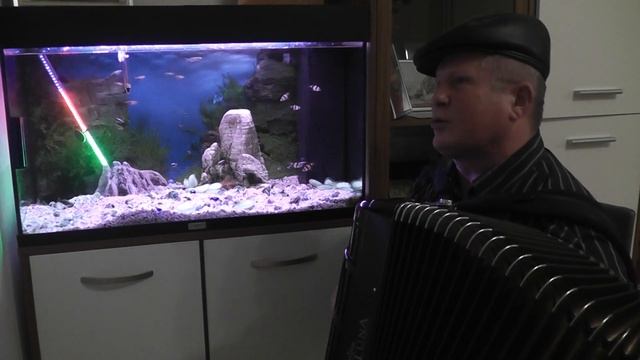 У БЕДЫ ГЛАЗА ЗЕЛЁНЫЕ смотреть онлайн