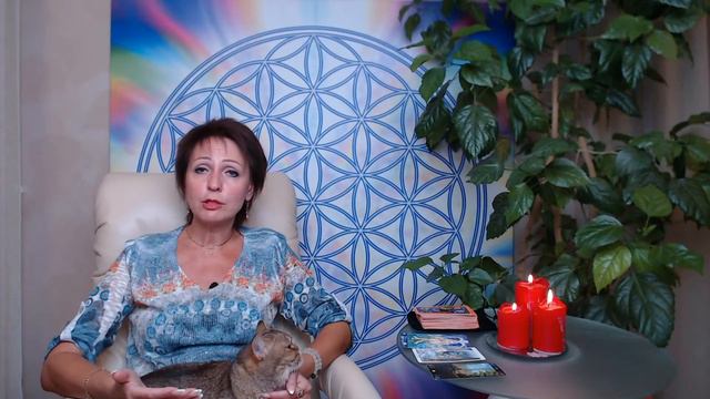 Сегодня Здесь Сейчас - Мини-сериал о твоей Лучшей Реальности! смотреть онлайн