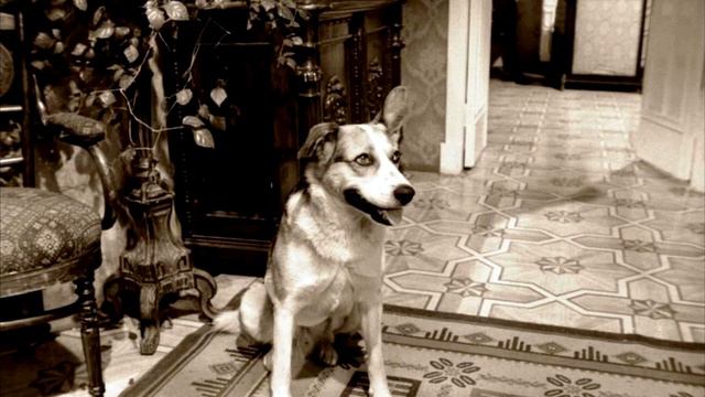 Филологические изыскания №0 : Булгаков, Гоблин, Жуков и другие смотреть онлайн