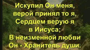 Христианские песни. От греха я спасен, в Божий мир водворен. Лучшие христианские песни
