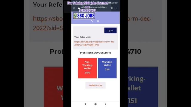 How to Check wallet and Wallet History in SBO jobs #sbo #sbojobs #workfromhome смотреть онлайн