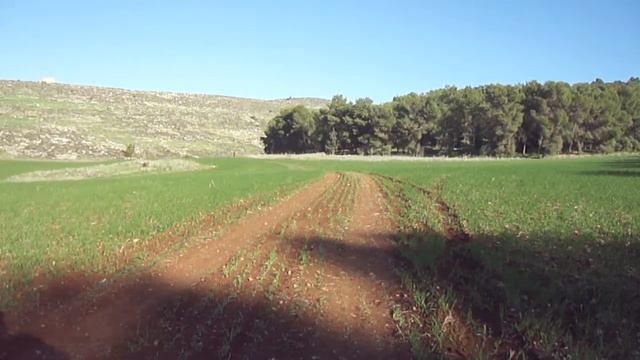 По зеленым полям смотреть онлайн