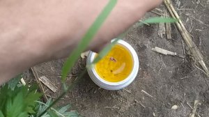 Как сделать ЧЕСНОЧНЫЙ АРОМАТИЗАТОР для РЫБАЛКИ СВОИМИ РУКАМИ? Сделал 2 ДИПА и СРАВНИЛ их на РЫБАЛКЕ