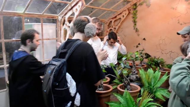 Травология на выставке "Дверь в Хогвартс" смотреть онлайн