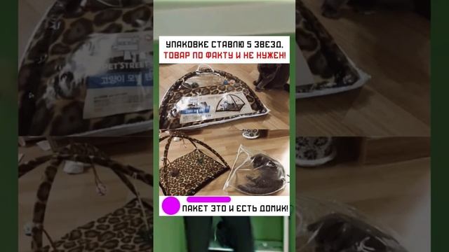 #short #shorts #мем #мемы #прикол #юмор #funny (7) смотреть онлайн