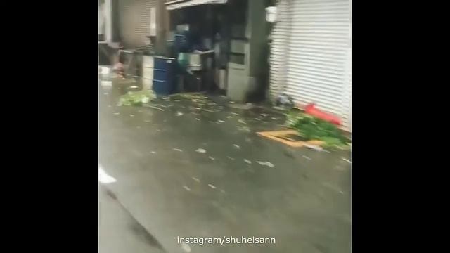 Тайфун джеби 2018 смотреть онлайн