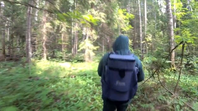 НЕБОЛЬШАЯ ГЕОДЕЗИЧЕСКАЯ ПОИСКОВАЯ ЭКСПЕДИЦИЯ. пункт ПУСТЫНЬКА. НЕОЖИДАННЫЙ РЕЗУЛЬТАТ... смотреть онлайн