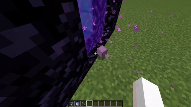 I Checked New Dupe With Dolphin In 1.16.5