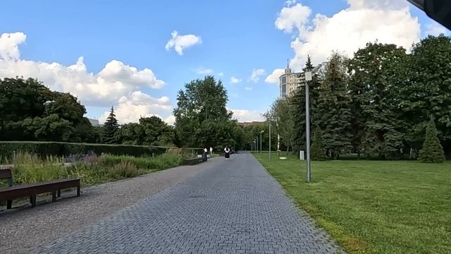 Многодетная мать приютила в грозу бродягу с ковром в руках… А заглянув в «сверток» едва не ошалела…