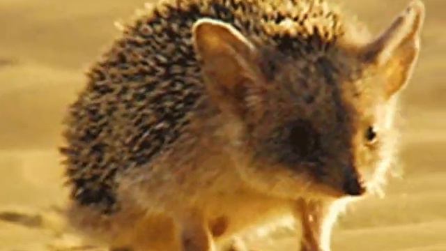 Я просто дура