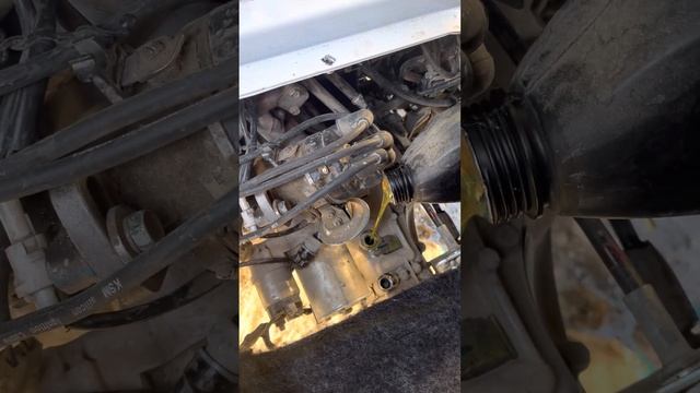 Damas Karobkasiga Moy Quyish дамас каробкасига мой куйиш #damas #labour #change #sirop #fed #desiga