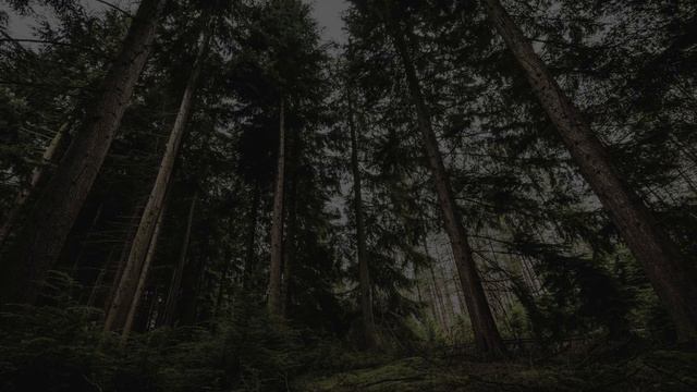 HORROR Sound Effects